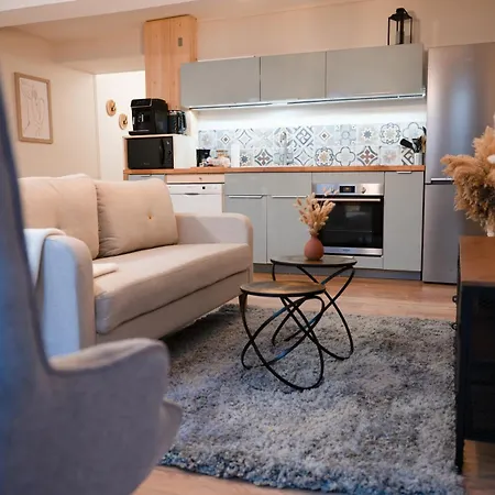 Chez Rose - Plein Centre Historique Apartmán *